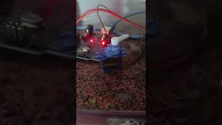 Micro servo motor tech shorts fyp diy [upl. by Meter]