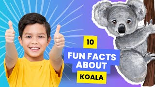 Koala Bear 10 Fun Facts About Koalas for Kids [upl. by Graniah739]