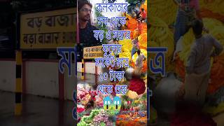 Mallick Ghat Flower Market। Kolkata Bigest Flower Market।kolkata flowers shortfeed vlog travel [upl. by Nolat]