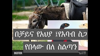 የአህያ ስጋ በልቼ አውቃለው ፤ የፋኖ መግለጫ፤የኢትዮጵያ አየር ለይንስ ጉድ sefu on ebs eshetumelese donkey tubeሰበር ዜና [upl. by Aztiraj988]