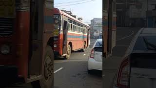 leylandbus Balangoda 471 Ratnapura SLTB Bus View in Kudugalwatte 20241114 073036 travel [upl. by Mixam]