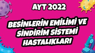 Besinlerin Emilimi ve Sindirim Sistemi Hastalıkları  AYT Biyoloji 2022 hedefekoş [upl. by Damek142]