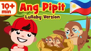 Ang Pipit Lullaby  Flexy Bear Original Awiting Pampatulog Compilation [upl. by Hamimej567]