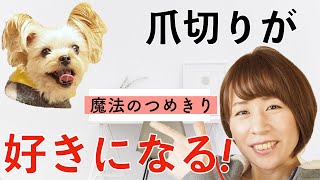 爪切りをジタバタ嫌がっていた愛犬に「魔法の爪切り」をすると、ウットリ顔になりました [upl. by Rothmuller]