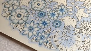 Secret Garden  Blue Vintage Flowers Coloring Part 24 [upl. by Marten]