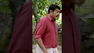 Watch 👆 Praise the Lord Movie Scenes praisethelord mammootty akankshapuri mukesh shorts [upl. by Apps182]