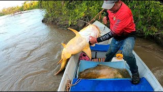 Pescando con carnadas de 1 kilo  pesca con carnadas gigantes [upl. by Schmitz]