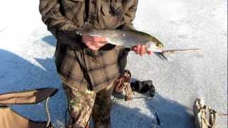 Winchester Lake Ice Fishing [upl. by Aramit]