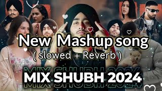 New Lofi song 2024  gangester mashap LofiGirl slowedandreverb song panjabi sad [upl. by Dallon]