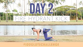 FIRE HYDRANT KICKS DAY 2  BLOGILATES 100 GLUTE CHALLENGE [upl. by Efron501]