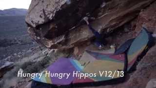 Hungry Hungry Hippos  Alex Johnson  Bouldering  Evolv [upl. by Artkele514]