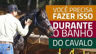 Como dar banho no cavalo faça desse jeito [upl. by Acisseg]