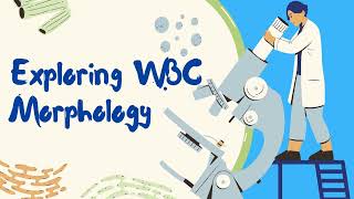 Exploring Haematology Morphology  White blood cells Leukocytes introduction [upl. by Gracye]