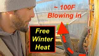 Can You Heat A Greenhouse With Compost  1 Week  Actively Heating The Greenhouse [upl. by Lola]