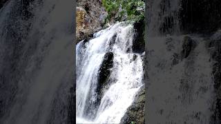 Kawasan Falls San Isidro Trinidad Bohol [upl. by Annaillil]