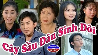 Cai Luong Cay Sau Dau Sinh Doi [upl. by Ztnarf]