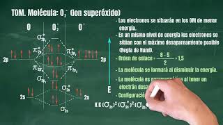 32 Teoría de Orbitales Moleculares Molécula O2 superóxido [upl. by Daffie]