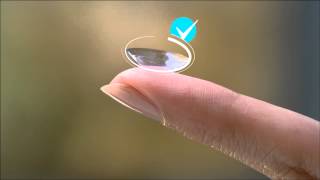 How to Put in Contacts  DAILIES® AquaComfort Plus® Contact Lenses [upl. by Dagny96]