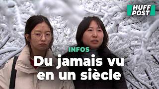 À Séoul les premières neiges abondantes inquiètent les habitants [upl. by Eniawtna]