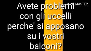 Come scacciare gli uccelli con un metodo facile ed efficace [upl. by Cowles]