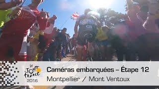 Caméra embarquée  Étape 12 Montpellier  Mont Ventoux  Tour de France 2016 [upl. by Vivyan]