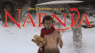 The Chronicles of Narnia 🦁 Mr Tumnus House Cave  ASMR Ambience  Cozy Fireplace Muffled Wind Snow [upl. by Nesyrb]