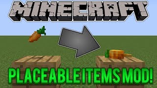 Minecraft Mod Showcase  Placeable Items Mod [upl. by Reneta]