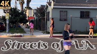 The Streets of LA  Figueroa Street  Episode 1  Los Angeles Ca 4K [upl. by Abdu]