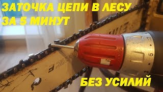 Заточка пильной цепи за 5 минут самый простой способ [upl. by Ticon653]