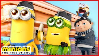 MINIONS The Rise Of Gru  Coffin Dance Song COVER2 [upl. by Brookner652]