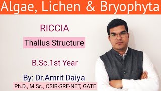 Riccia Thallus StructureBSc 1 st year Hindi amp English By Dr Amrit Daiya [upl. by Kilk]