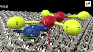 Organic Chemistry Basic to Advanced for NEET Chemistry  Hydrogenation Of Alkenes  NEET 3D Classes [upl. by Nibuz]