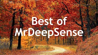 Best of Mr Deep Sense An Selected Mix for 2019 [upl. by Jarin]