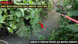 MANCING WADER DAN UCENG DI SELOKAN KECIL  GAK NYANGKA IKAN NILEM DAN LELENYA PADA NGAMUK BRO [upl. by Nylsor570]