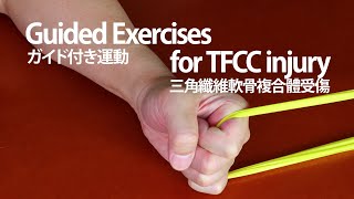 Guided Exercises for TFCC Injury三角纖維軟骨複合體受傷後之復健運動 [upl. by Marolda411]