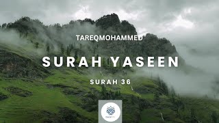 Surah Yaseen QariTareqMohammed [upl. by Sacksen]