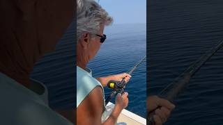 fish fishing tilefish offshorefishing atlantic fight funny viralvideo [upl. by Tonry120]