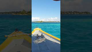 Maldivesvol7Unrealistic color maldives ocean travel [upl. by Nodyarb82]