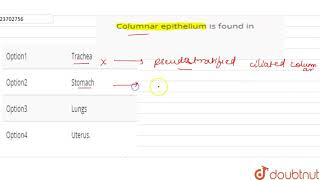 Columnar epithelium is found in [upl. by Aianat725]