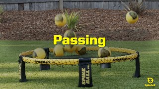 Spikeball™ Curriculum  Roundnet Passing [upl. by Salomie]