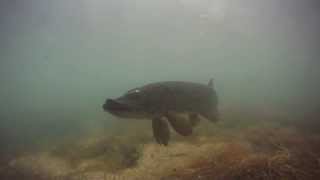 Cromford Canal Pike [upl. by Tuneberg688]