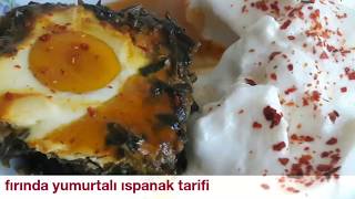 Fırında yumurtalı ıspanak tarifi [upl. by Aissak]