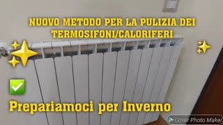 NUOVO METODO PER LA PULIZIA DEI TERMOSIFONI✅️🔝cleaning cleaninghacks puliziedicasa [upl. by Eelirrem]