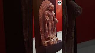 Lalitgiri Museum showcases facets of Odishas spectacular culture and history [upl. by Noevad]