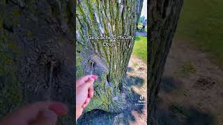 Geocaching Difficulties Level 15 [upl. by Seif]