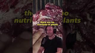 Exploring Plant vs Animal Nutrients The Truth About Phytonutrients  Joe Rogan Experience 1551 [upl. by Past]