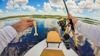 Fishing Steinhatchee Florida with Gulp Shrimp and Topwater  Redfish and Big Trout [upl. by Lamberto]