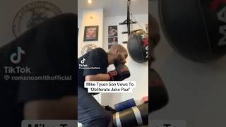 Mike Tyson son vows to obliterate Jake Paul must see what happens [upl. by Faith]