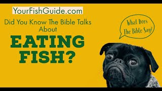 What Does The Bible Say About Eating Fish  YOU WISHED YOU WATCHED THIS FIRST [upl. by Cappella587]