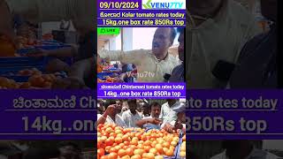 today Chintamani tomato rates Tomato rates Kolar tomato market rates Chintamani Kolar Venu7tv [upl. by Adlen]